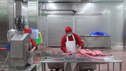 育 “高原黑豬” 鑄 “豬芯片”!高金食品以數智創新激活“遂寧制造”新動能